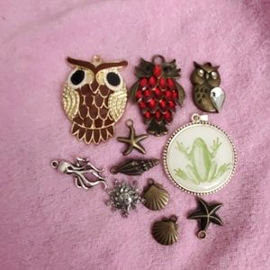 Necklace and bracelet charms